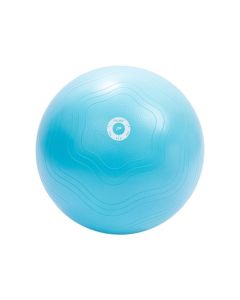 Joogapallo Pure2Improve 65 cm, Sininen